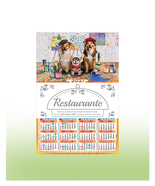 Cartulina-Mediano Serie D